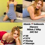 MAMIA INDONESIA JB ESCORT GIRL JOHOR BAHRU