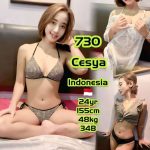CESYA INDONESIA JB ESCORT GIRL JOHOR BAHRU